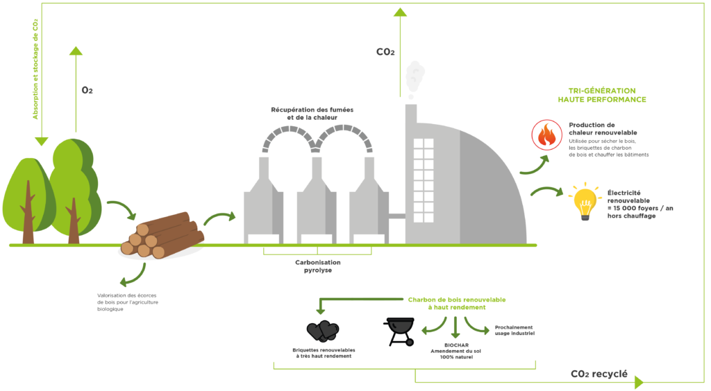 Soler - Charbon de bois - Production