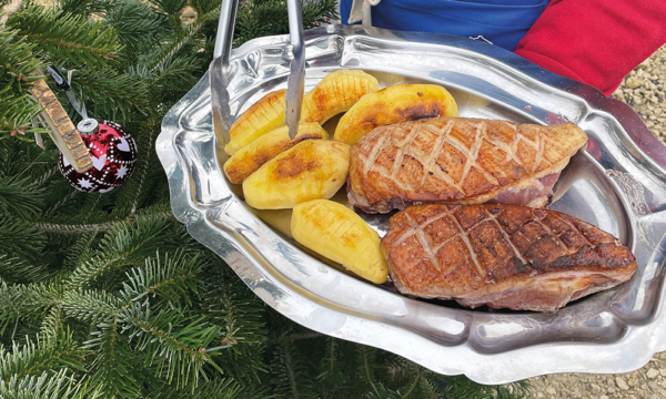 Magret de canard à la plancha – SOLER