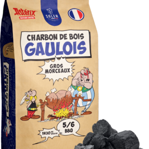 SOLER-Charbon-de-bois-gaulois-gros-morceaux