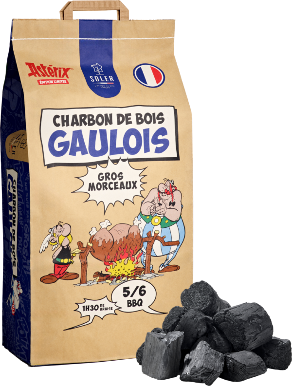 SOLER-Charbon-de-bois-gaulois-gros-morceaux