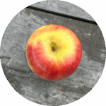 pomme grillée au barbecue pour une recette au sanglier